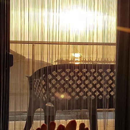 Apartament Andy Mamaia Nord 30 M De Plaja Неводарі Екстер'єр фото