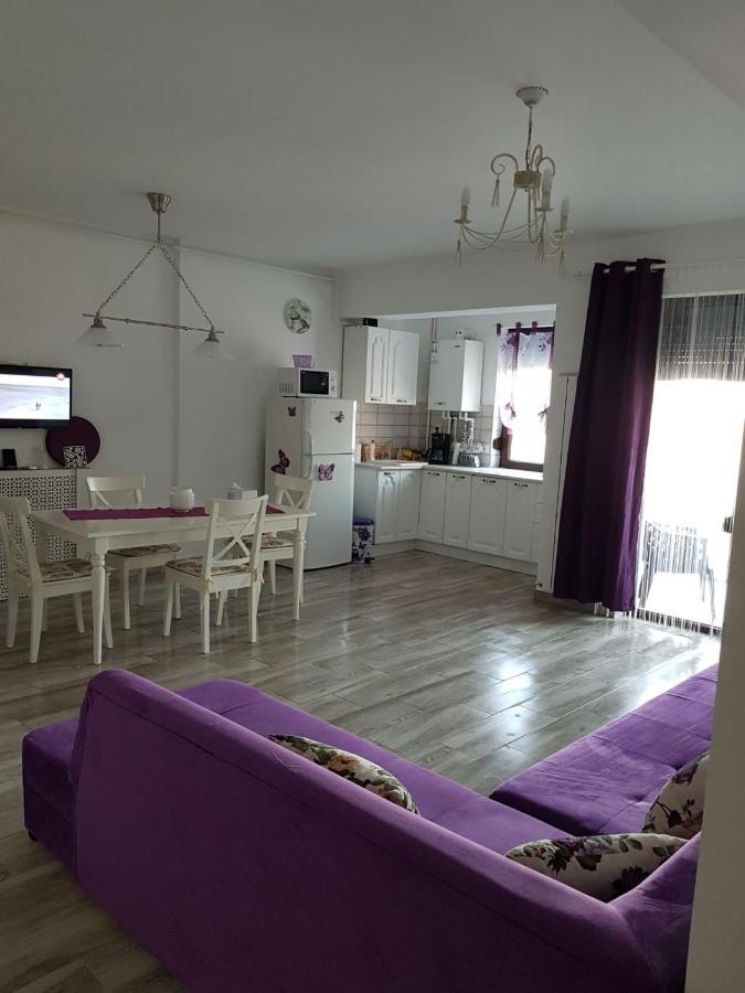 Apartament Andy Mamaia Nord 30 M De Plaja Неводарі Екстер'єр фото